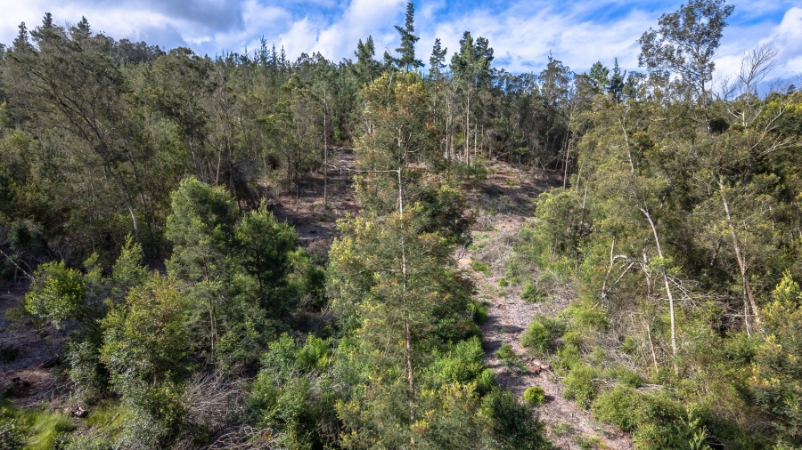 Commercial Property for Sale in Sedgefield Rural Western Cape